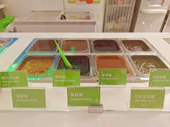 -Salud撒露欧洲冻酸奶(五道口购物中心店)