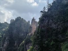 -塔云山
