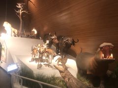 -贝林大翅鲸简餐厅(国家海洋博物馆店)