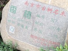 -南京双门楼宾馆(盐仓桥地铁站阅江楼店)