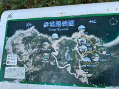-广东惠东海龟国家级自然保护区