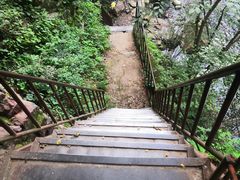 -云岫谷游猎自然风景区