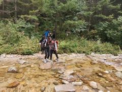 -秦岭风景区