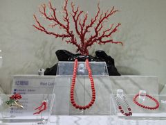 -安徽省地质博物馆