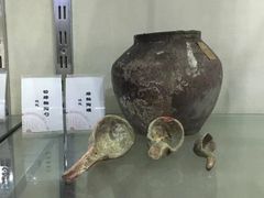 -广东中医药博物馆