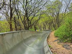 -富斯特索道