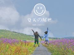 -草原天路(张北县)