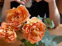 -天水蔬食料理(树德之光店)