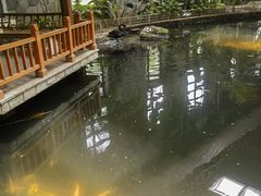 -南宫五洲植物乐园