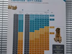 -美联众合动物医院(·中兽医·疑难杂症·严家桥分院)