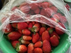 -胡家庙水果批发市场