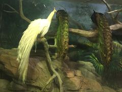 -福州罗源湾海洋世界旅游区