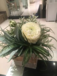 点击看大图 -薇薇安花系SPA