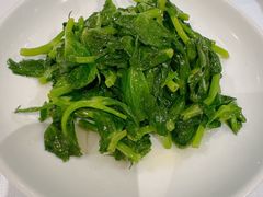 酒香豆苗-老吉士酒家(天平路店)