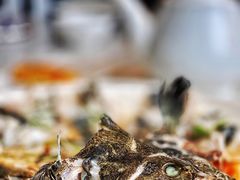 清蒸龙趸班-衡山汇·高级粤菜(霄云路店)