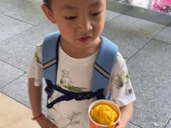-半山半岛洲际度假酒店·观海廊
