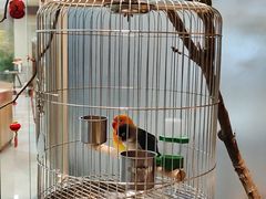 -食锦记·福建私房菜(浦西万达店)