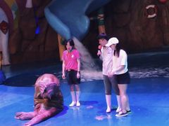 -烟台海昌鲸鲨海洋公园