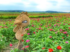 -莲花山花海