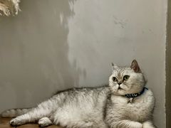 -Oasis绿洲银饰珍珠手作diy(壹方城店)