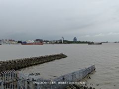 -上海滨江森林公园