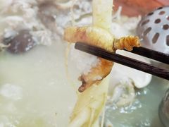 -朴小妹人参鸡汤火锅(长白山万达店)