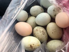 -甜心庄园·甜心草莓采摘园(西青中北店)