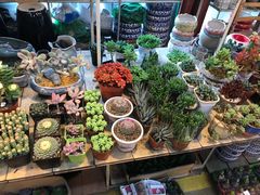-双季花艺园艺市场(浦东店)