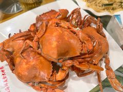 -四姑娘川味海鲜(八爪鱼店)