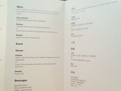 德国汉莎航空-德国汉莎航空公司