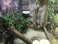 -上海大自然野生昆虫馆(东方明珠·爬宠昆虫探索中心)