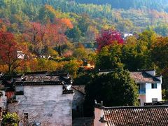 -塔川景区