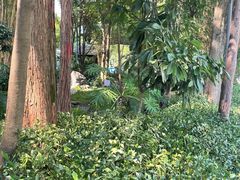 -成都市活水公园
