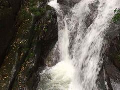 -藏龙百瀑风景区