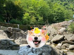 -万春卤菜(天乡后街步行街店)
