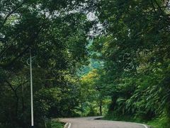 -火炉山森林公园