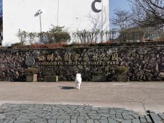 -四明山国家森林公园