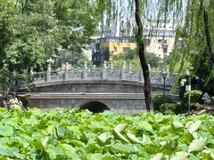 -莲湖公园