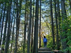 -白草畔自然风景区