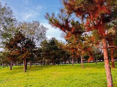-洨河生态公园