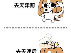 -必点海鲜·海肠捞饭(滨江道一店)