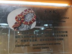 -上海大自然野生昆虫馆(东方明珠·爬宠昆虫探索中心)