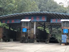 -黄埔油麻山森林公园