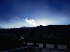 -喵屿·大理花园猫咖