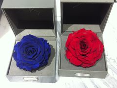 -ROSEONLY诺誓(青岛万象城店)