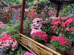 -惠山古镇·寄畅园