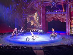 -珠海横琴长隆《卡卡虎奇遇记》