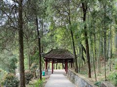 -禅宗三祖寺