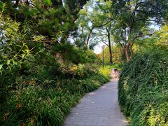 -北京明城墙遗址公园