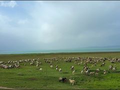 -青海湖国家重点风景名胜区
